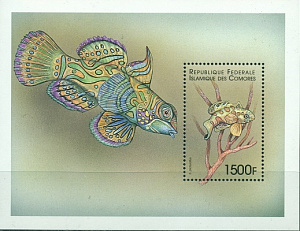 Коморы, 1998, Рыбы, блок